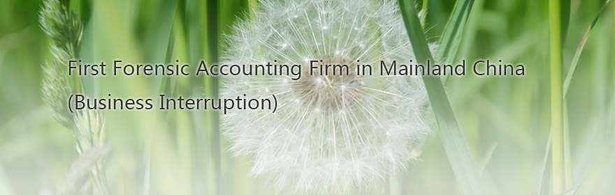 First Forensic Accounting Firm in Mainland China (Business Interruption)